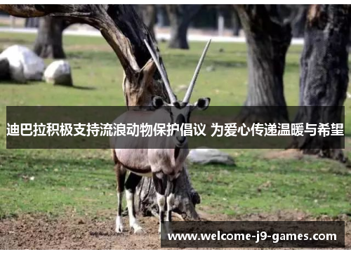 迪巴拉积极支持流浪动物保护倡议 为爱心传递温暖与希望