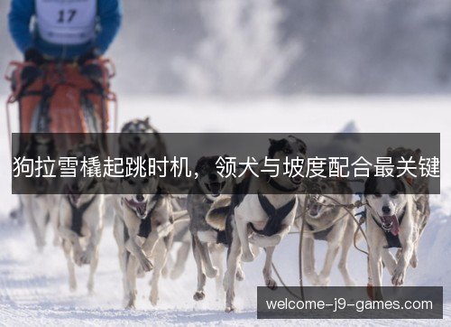 狗拉雪橇起跳时机,领犬与坡度配合最关键 狗拉雪橇起跳时机,领犬与坡度配合最关键